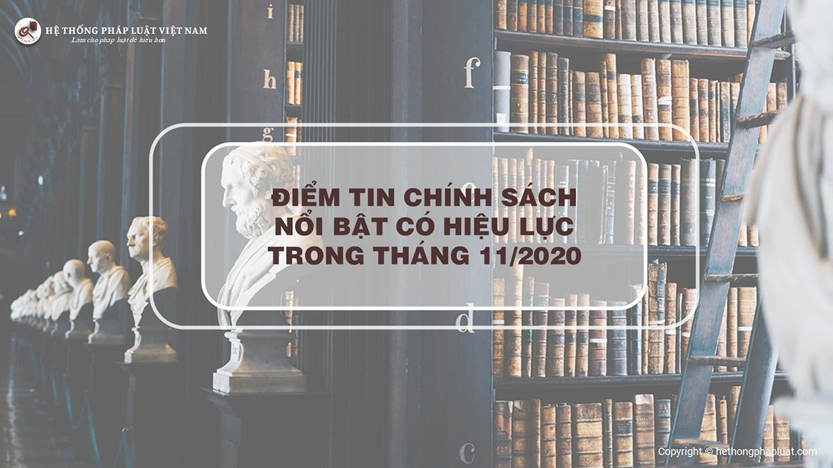 Một số chính sách nổi bật có hiệu lực trong tháng 11/2020